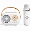 Детская Bluetooth караоке колонка с одним микрофоном, 6 разных голосов